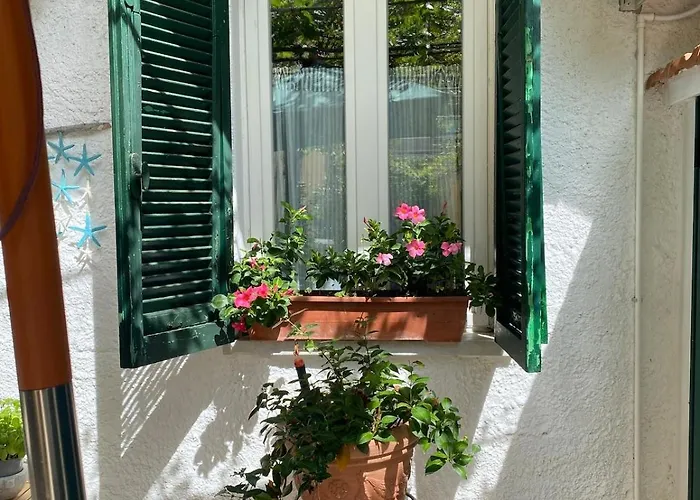 La Casina Al Mare 別荘 *
